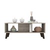 Tuhome Cincinatti Z Coffee Table, Two Open Shelves, Four Legs, Light Gray MLZ7901